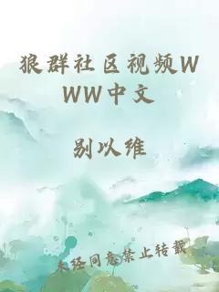 狼群社区视频WWW中文