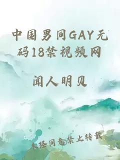 中国男同GAY无码18禁视频网